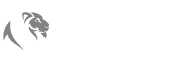 Drive Luxury Car rental  Logo