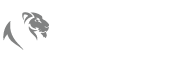 Drive Luxury Rent a car Logo